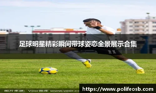 体育联赛积分榜最新排名